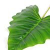 36*110CM Taro leaves GS-2690057