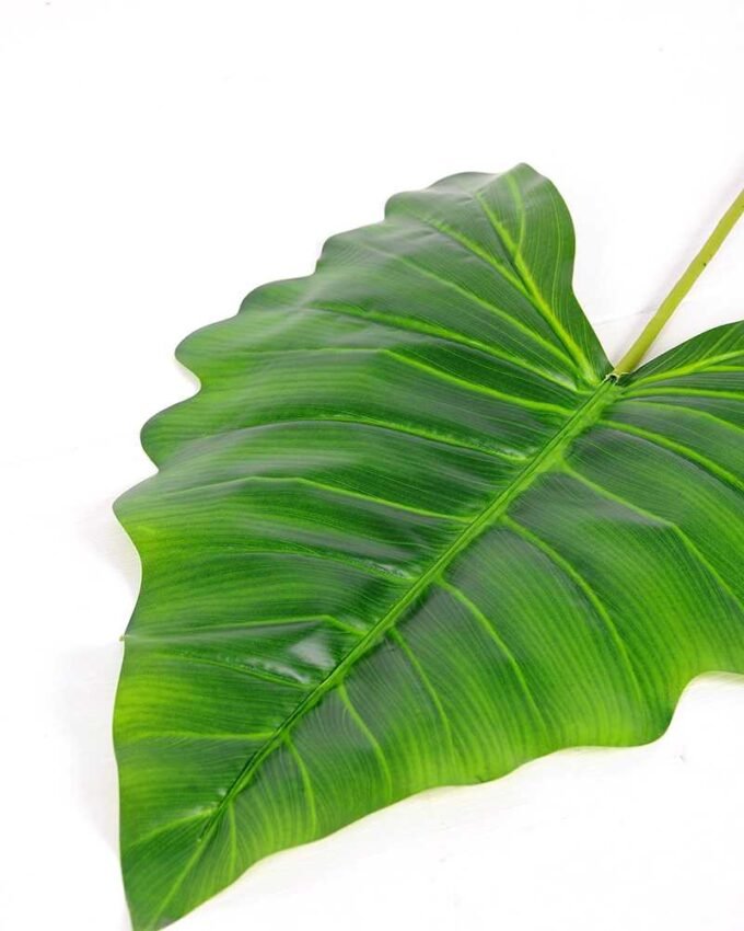 36*110CM Taro leaves GS-2690057