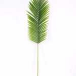 29*122CM Kwai leaves GS-2690059