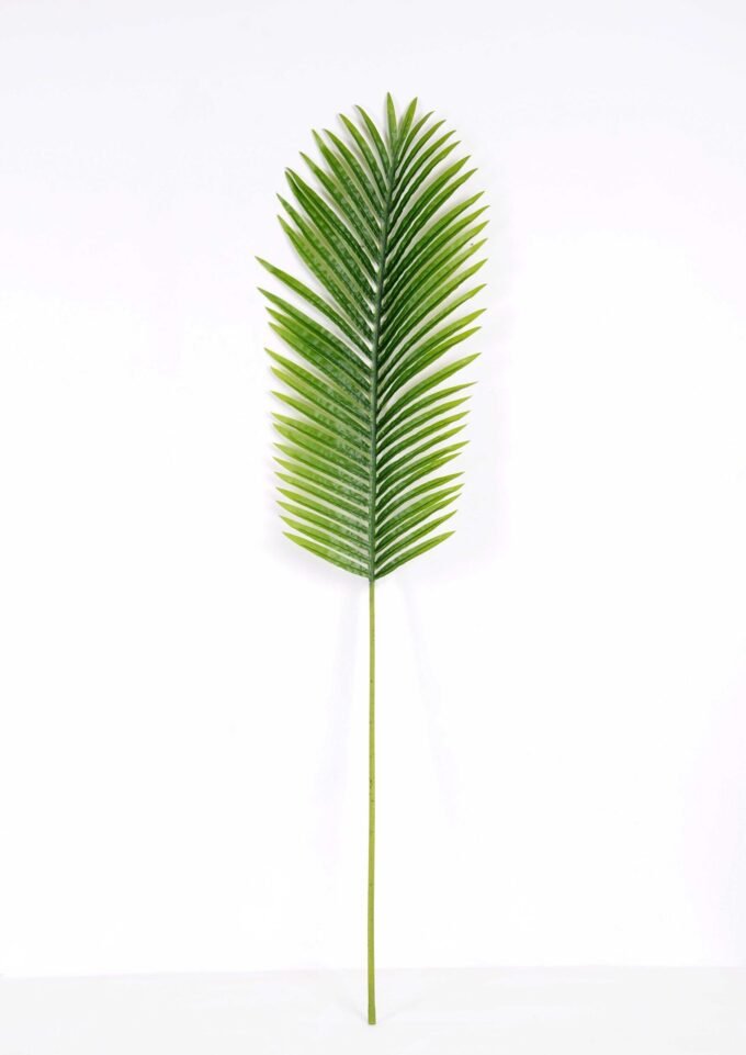 29*122CM Kwai leaves GS-2690059