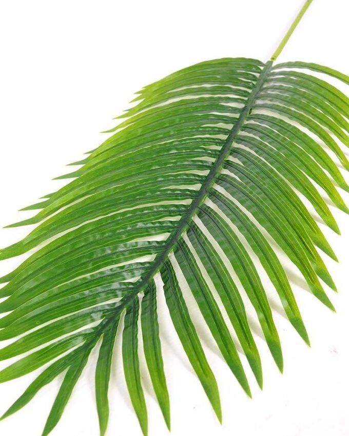 32*119CM Kwai leaves GS-2690060