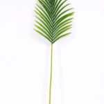 30*30*103CM Kwai leaves GS-2690061