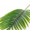 30*30*103CM Kwai leaves GS-2690061
