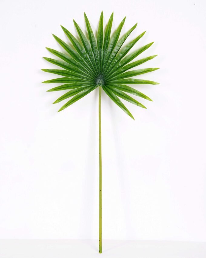 41*83CM Kwai leaves GS-2690062