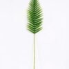 22*109CM Kwai leaves GS-2690063