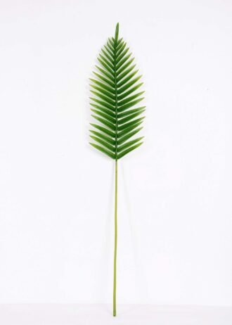 22*109CM Kwai leaves GS-2690063