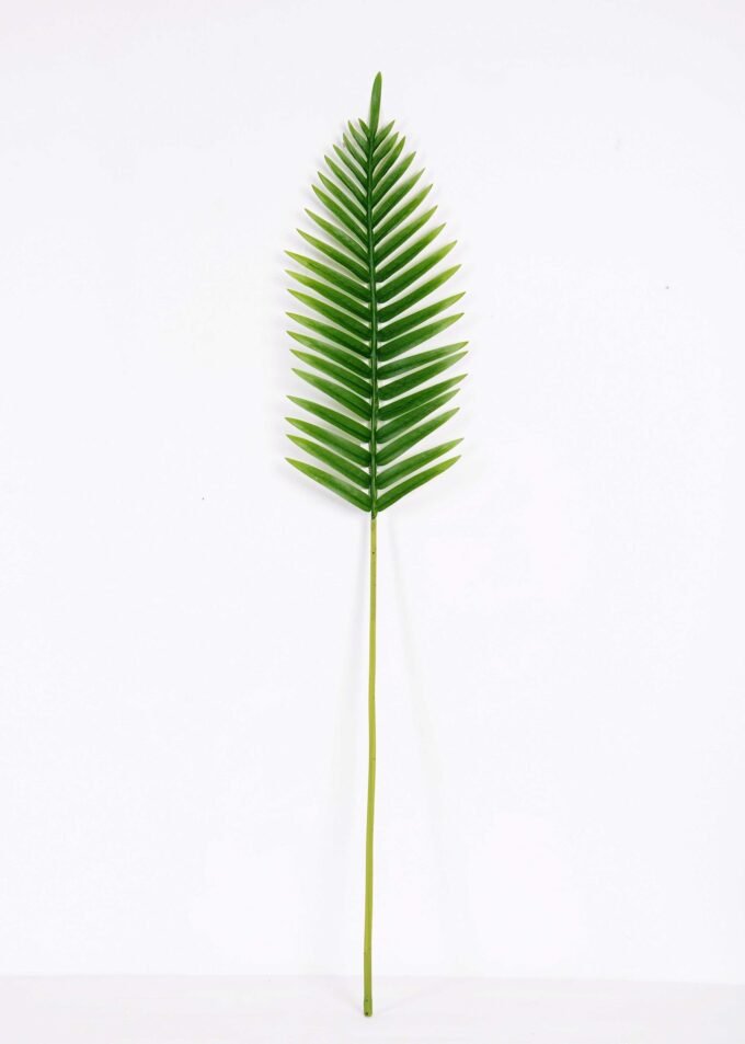 22*109CM Kwai leaves GS-2690063