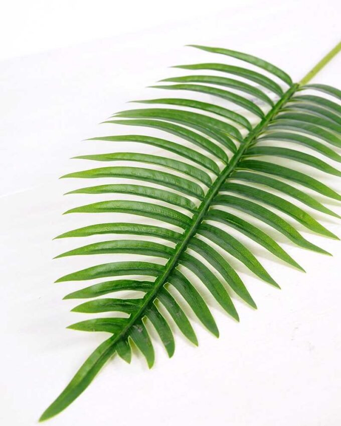 22*109CM Kwai leaves GS-2690063