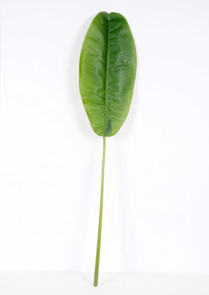 29*130CM banana leaf GS-2690065