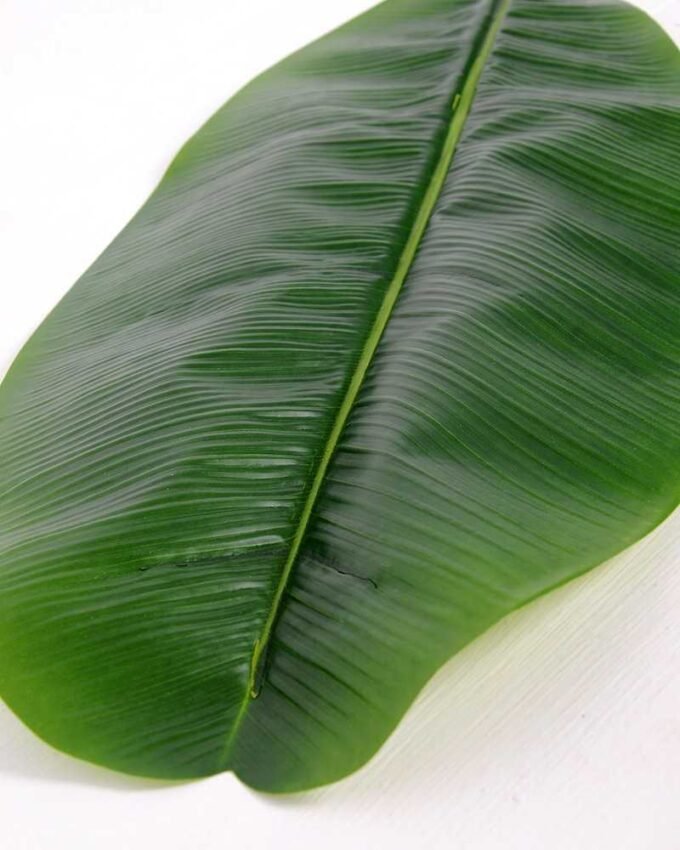 29*130CM banana leaf GS-2690065
