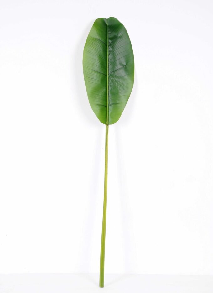 24*117CM banana leaf GS-2690066