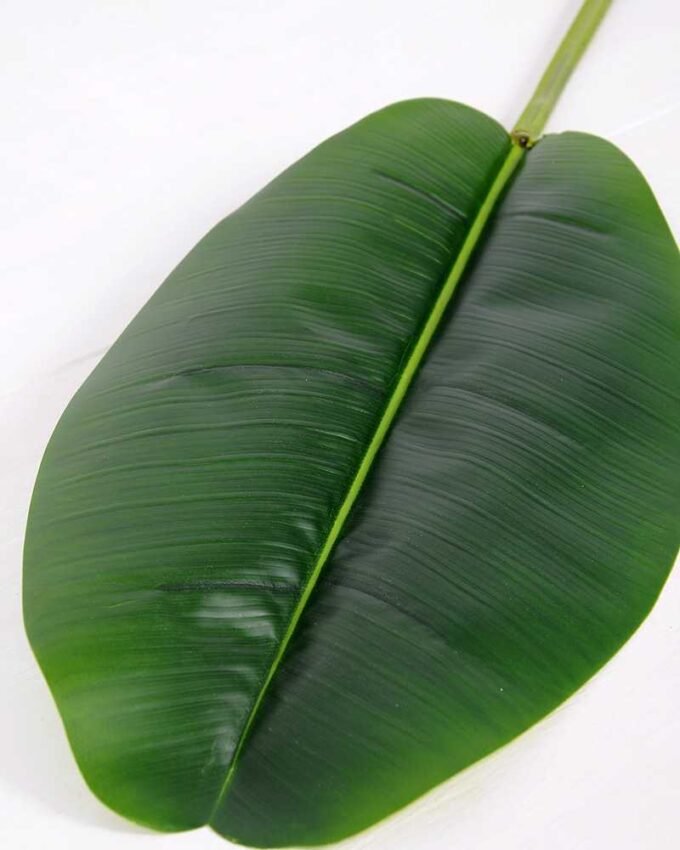 24*117CM banana leaf GS-2690066