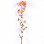 10*82CM Single cherry GS-2790143-P1