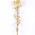 10*82CM Single cherry GS-2790143-W1