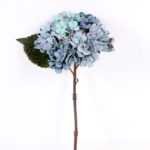 15*34CM Single Hydrangea GS-2790145-B1