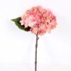 15*34CM Single Hydrangea GS-2790145-P1