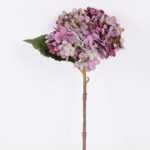 15*34CM Single Hydrangea GS-2790145-Z1