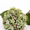 18*54CM Single Hydrangea GS-2790146-G1