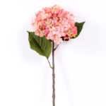 18*54CM Single Hydrangea GS-2790146-P1