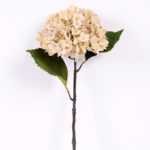 18*54CM Single Hydrangea GS-2790146-W1