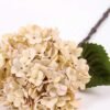 18*54CM Single Hydrangea GS-2790146-W1