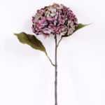 18*54CM Single Hydrangea GS-2790146-Z1