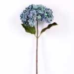25*74CM Single Hydrangea GS-2790147-B1