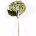 25*74CM Single Hydrangea GS-2790147-G1
