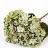 25*74CM Single Hydrangea GS-2790147-G1
