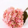 25*74CM Single Hydrangea GS-2790147-P1