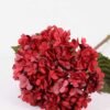 25*74CM Single Hydrangea GS-2790147-R1