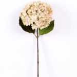 25*74CM Single Hydrangea GS-2790147-W1