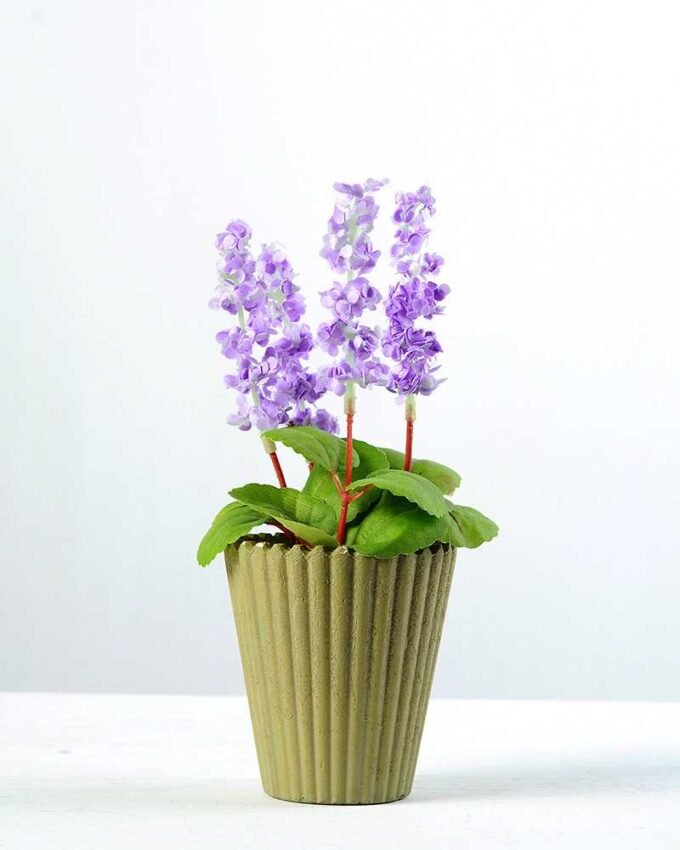 Lavender*7 GS-2960001