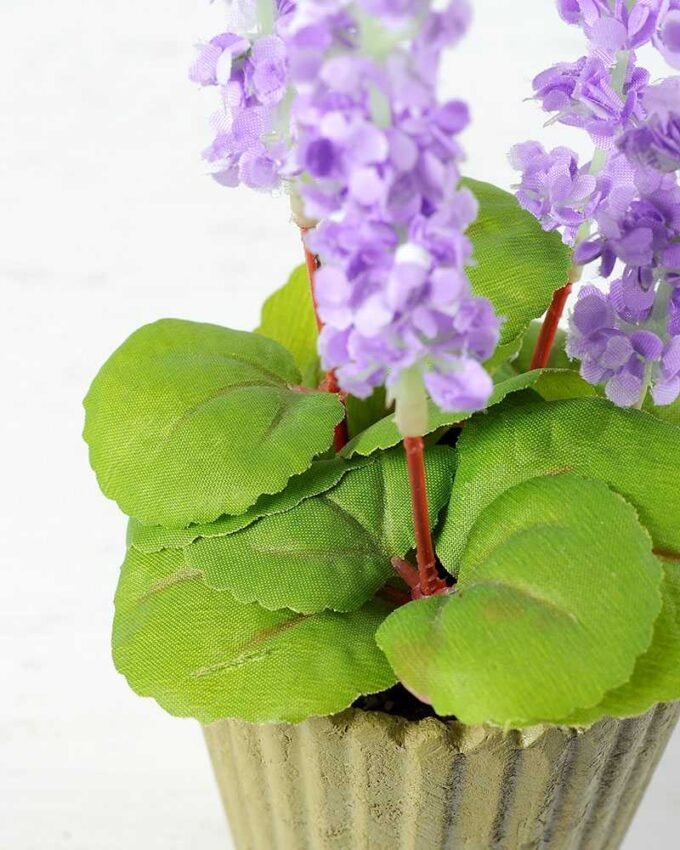 Lavender*7 GS-2960001