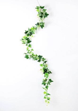 78CM   WH/GR Pachyrhizus /144Lvs GS-2980038