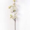 94cm Single sakura(M) GS-3000036