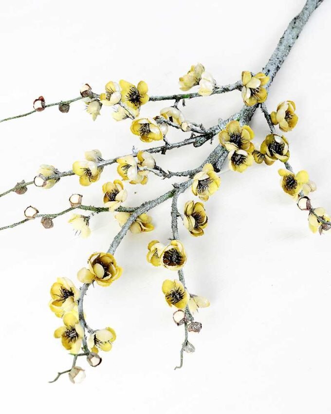 23*23*114cm Plum Blossom GS-3000041