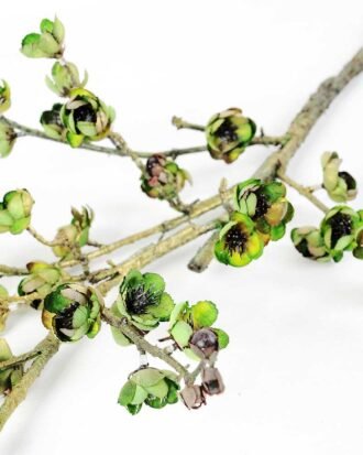 23*23*114cm Plum Blossom GS-3000041