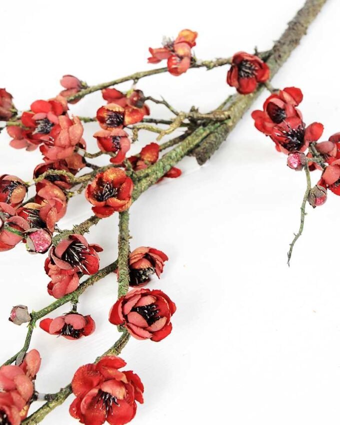 23*23*114cm Plum Blossom GS-3000041