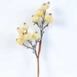 8*42cm Hawthorn spray GS-3010092