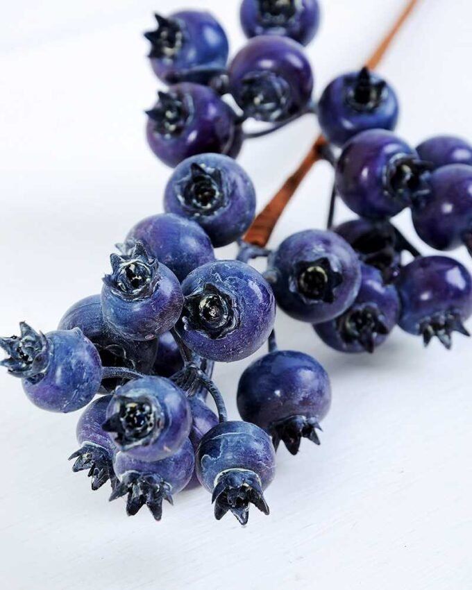 8*42cm Blueberry?branches?spray GS-3010101