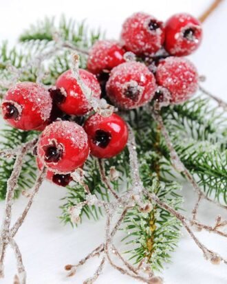 20*40cm Pomegranate & Pine twigs spray GS-3010109