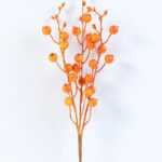 10*45cm  Yellow Hawthorn GS-3010111