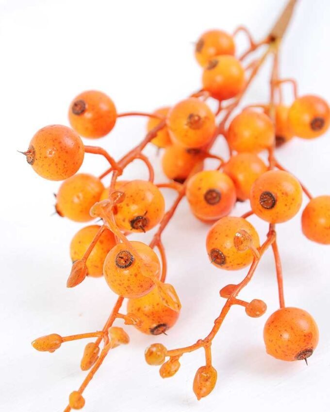 10*45cm  Yellow Hawthorn GS-3010111