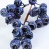 12*40cm Blueberry?branches?spray GS-3010117