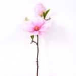16*37CM yulan magnolia GS-3020042-P1