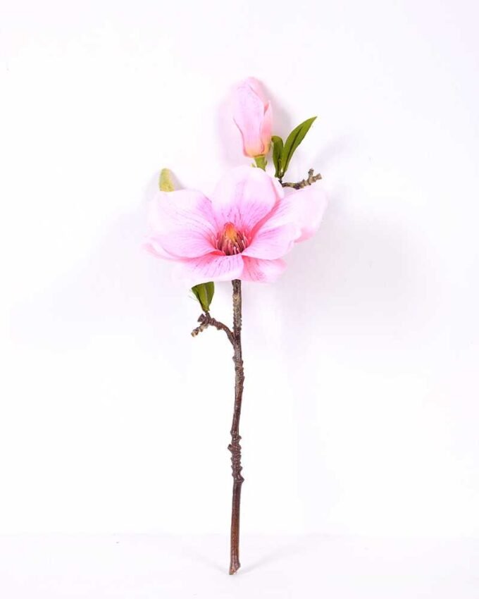 16*37CM yulan magnolia GS-3020042-P1