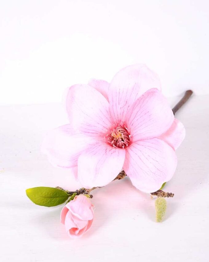 16*37CM yulan magnolia GS-3020042-P1