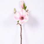16*37CM yulan magnolia GS-3020042-P2