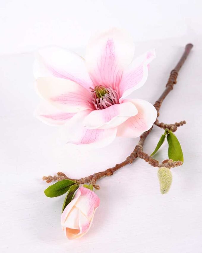 16*37CM yulan magnolia GS-3020042-P2